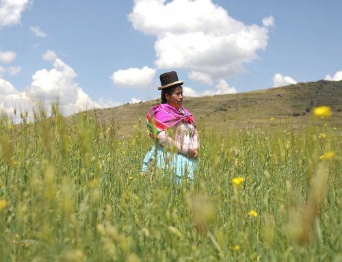 Valor público en alianza por la educación superior tecnológico en el  distrito de Pichacani – Laraqueri – Puno