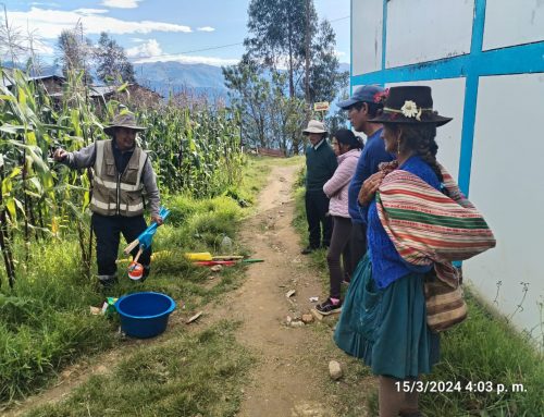 SUMAQ SARA: “Cosechando el grano sagrado en los andes de Tayacaja, Huancavelica”