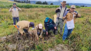 Agricultura regenerativa andina