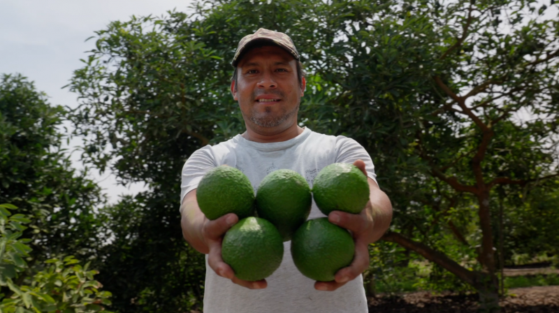 Fruticultores de Jecuán