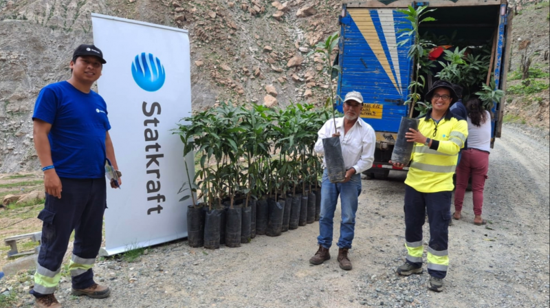 Ampliación de frontera agrícola de mango Kiett