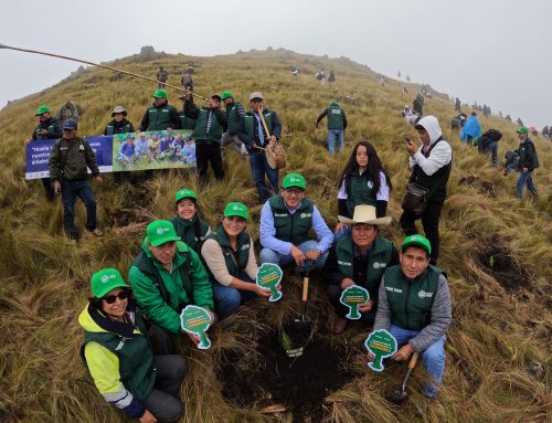 Huella Verde, alianza forestal por Cajamarca
