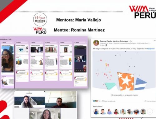 Programa de Mentoring Internacional; de WIM Perú
