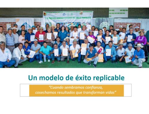 Modelo agroexportador y producción sostenible de palta Hass en el Valle Fortaleza