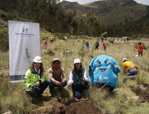 Ambiente Verde Junín – Bosques que Capturan Carbono para el Desarrollo Sostenible