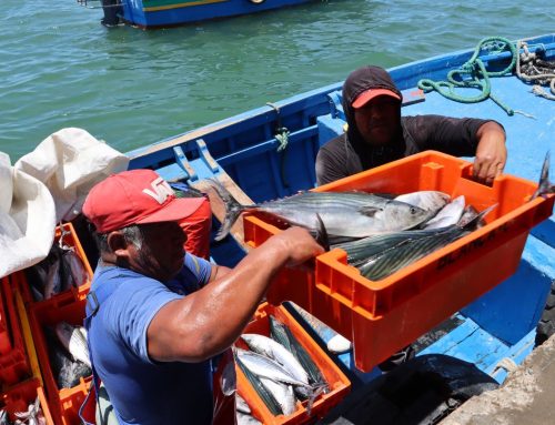 Mar de oportunidades en Sechura
