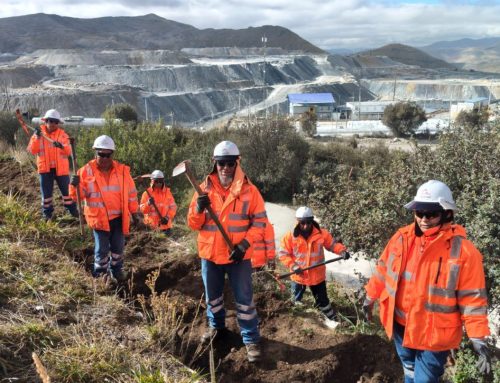 De Desecho a Cosecha, Papa Producida por Sostenibilidad