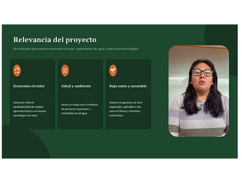 Remoción de Contaminantes Metálicos en Drenaje ácido de Mina Sintético mediante biosorbente de cáscara de naranja con nanopartículas de hierro